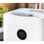 Air Purifiers for Allergies and Asthma: How They Work and What to Shop