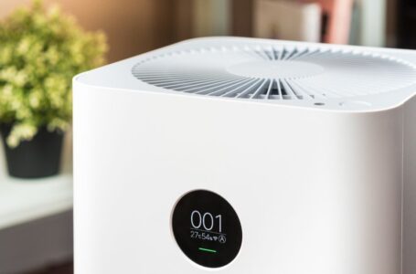 Air Purifiers for Allergies and Asthma: How They Work and What to Shop